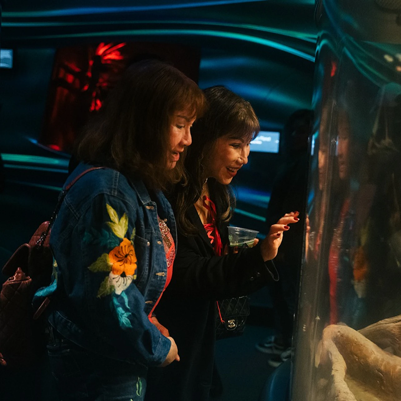 California Academy of Sciences: Nightlife Ticket in San Francisco β Tiqets