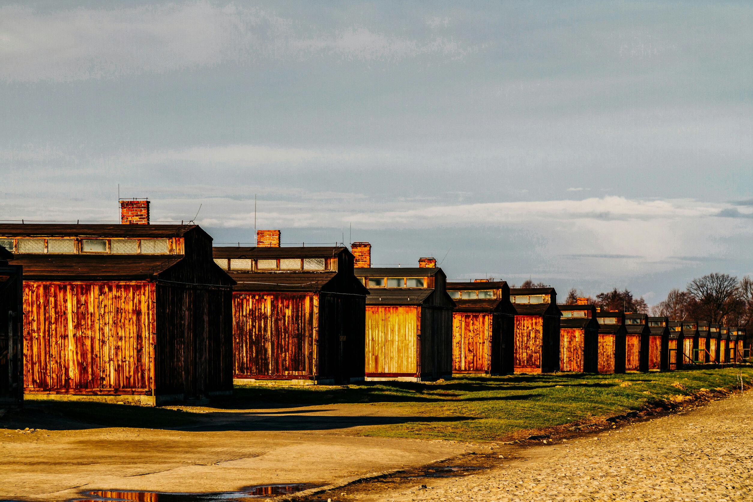 Auschwitz-Birkenau: Tour guidato + Prelievo dall'hotel — 8