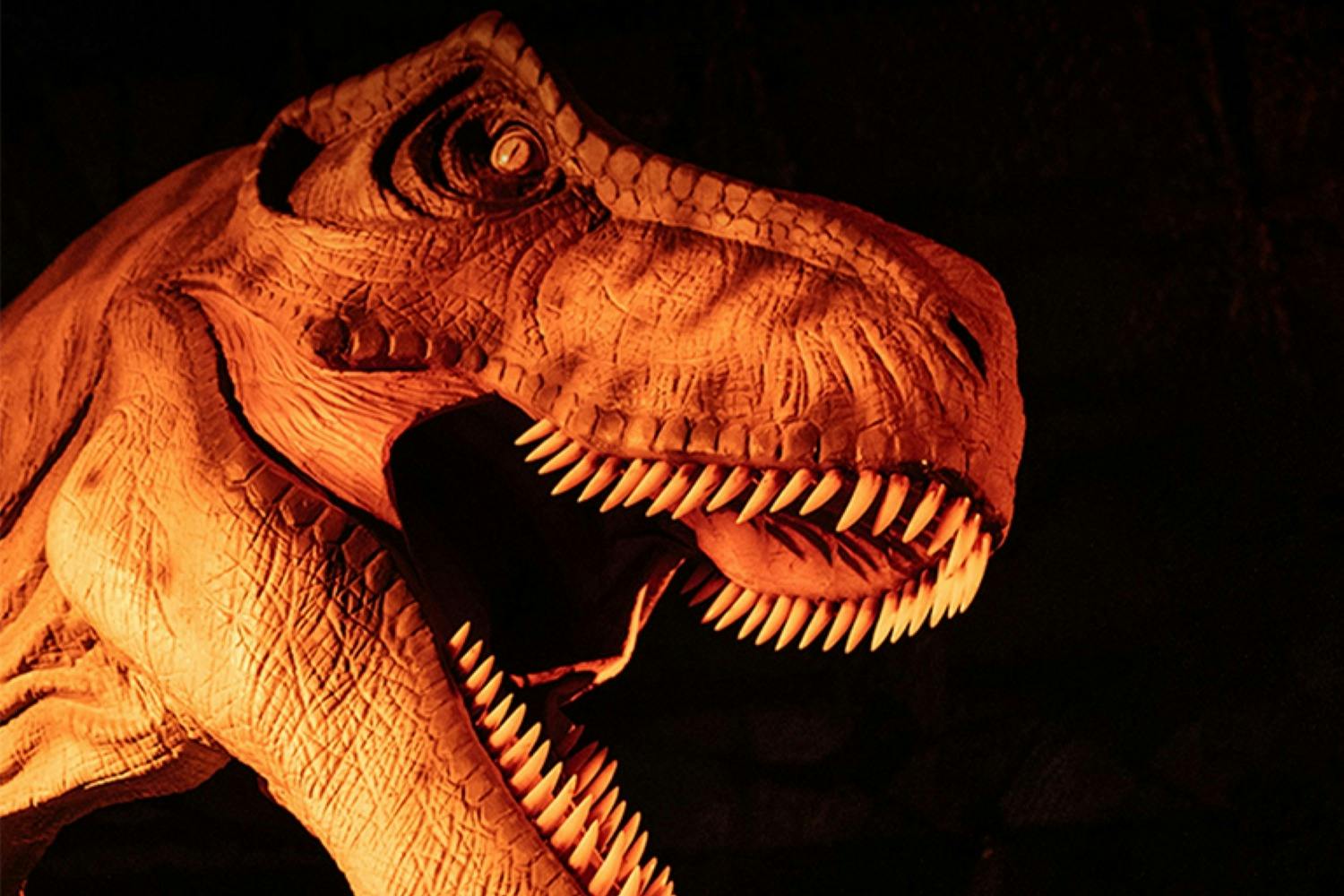Close-up of a dinosaur model's head with an open mouth, illuminated by dramatic lighting, showing sharp teeth and detailed texture.