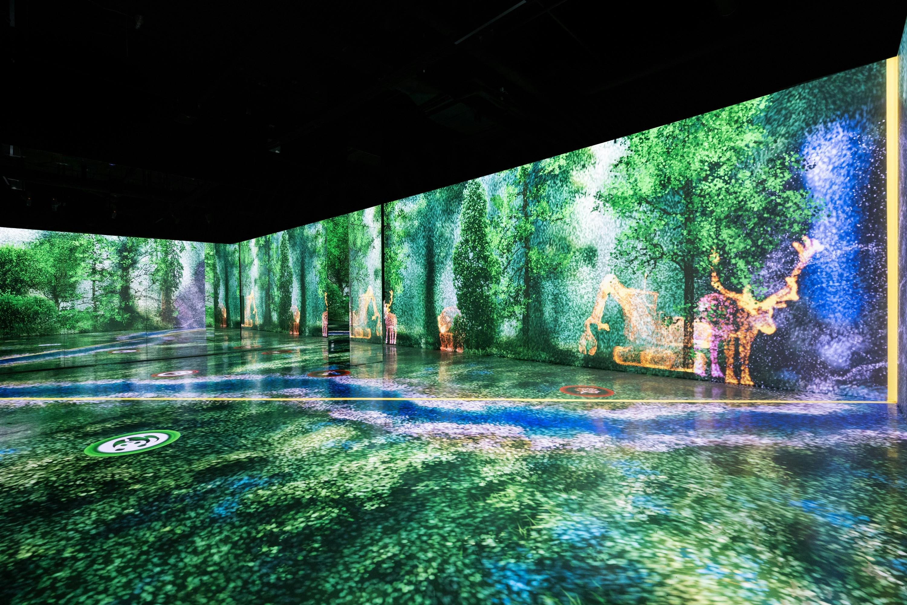 An immersive digital art installation showcasing a vibrant forest scene projected onto walls and floor.