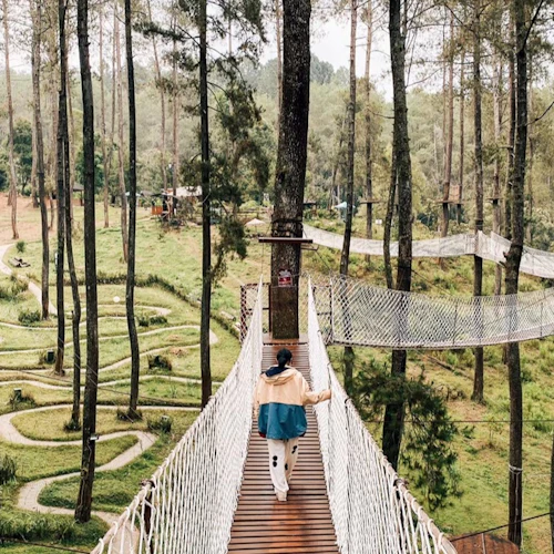 Orchid Forest Cikole Bandung: All Access Ticket