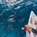 man on a catamaran overlooking dolphins in the water