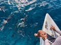 Mann auf einem Katamaran mit Blick auf Delfine im Wasser