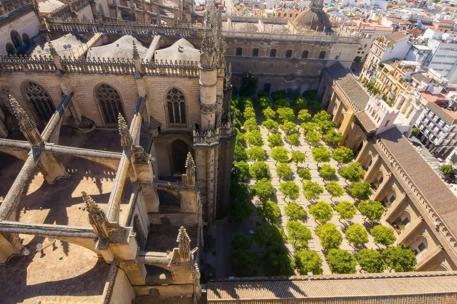 Royal Alcázar of Seville & Seville Cathedral: Guided Tour 5
