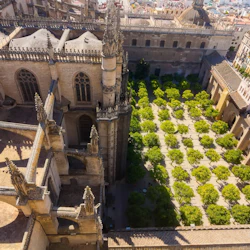 Royal Alcázar of Seville & Seville Cathedral: Guided Tour 5
