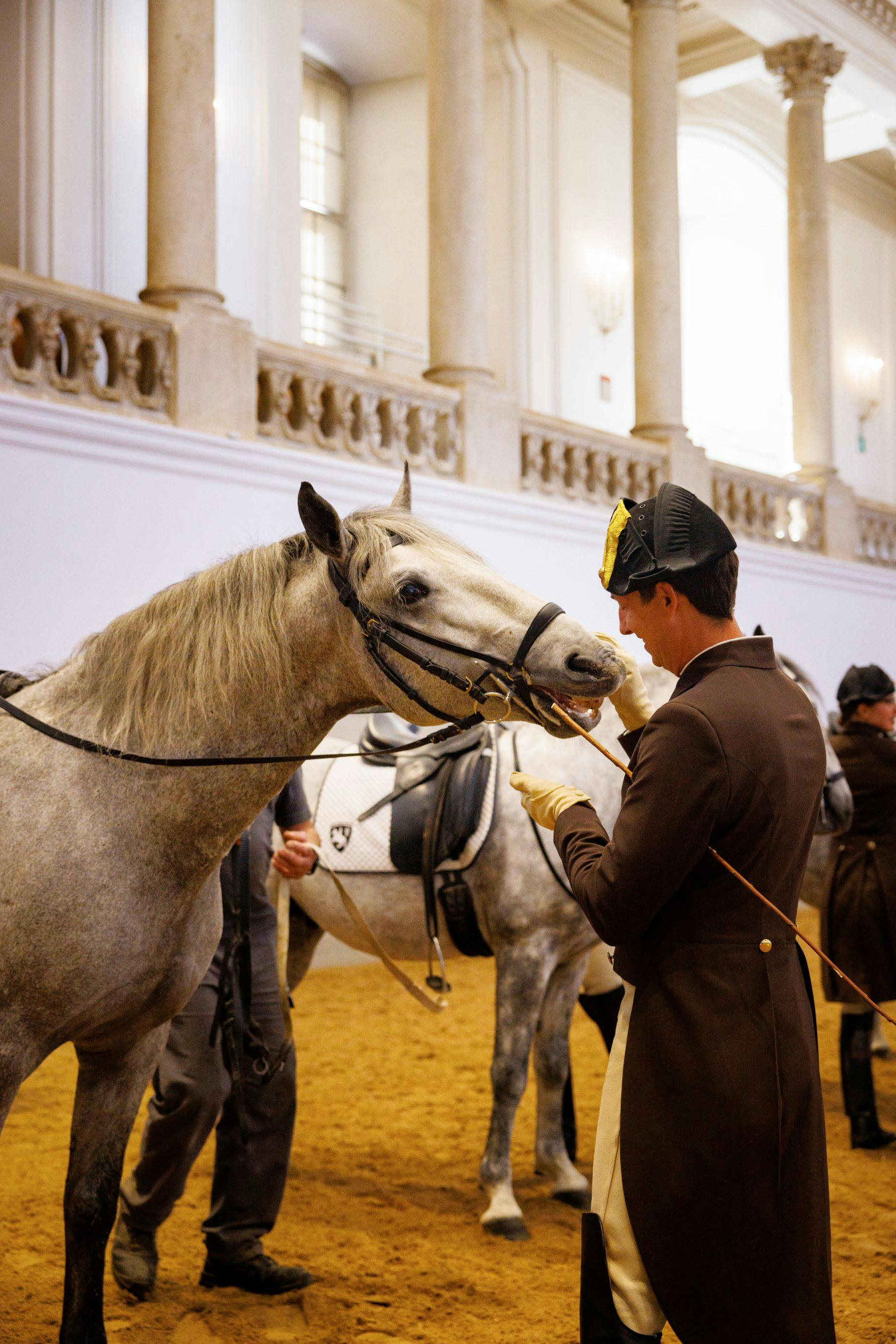 アウガルテン　スペイン乗馬学校 アウガルテン（AUGARTEN） フィギュリン（011210） スペイン乗馬