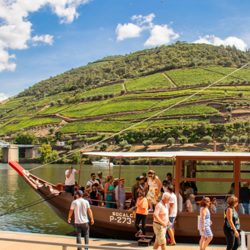 Valle del Duero: Excursión desde Oporto con crucero + Cata de vino de Oporto