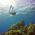 Navegació i snorkel a Cozumel