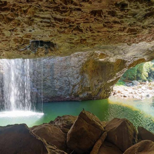 Natural Bridge & Springbrook Waterfalls Tour from Gold Coast