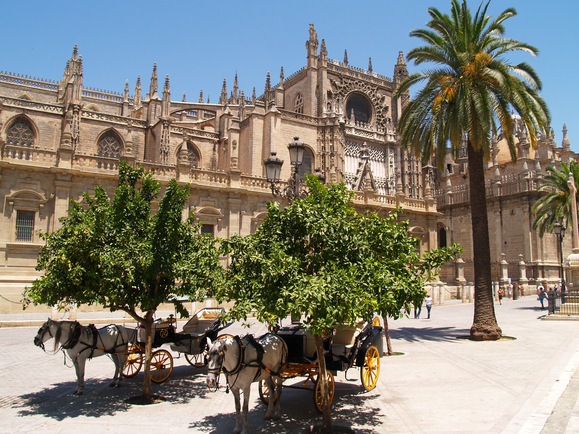 Horse-drawn carriages under trees in front of a large, ornate, Gothic cathedral with spires and large windows, next to a palm tree.