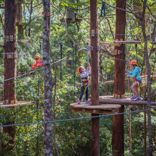 Treetops Adventure Belgrave: Junior Entry Ticket - Photo 2