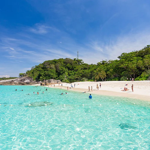 Ilhas Similan: Excursão de mergulho com snorkel saindo de Phuket em lancha rápida - Photo 4