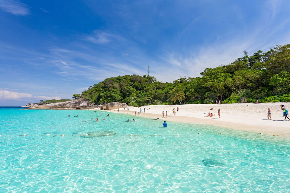 Relax on the sandy shores, feeling the gentle breeze and warm sun on your skin.
