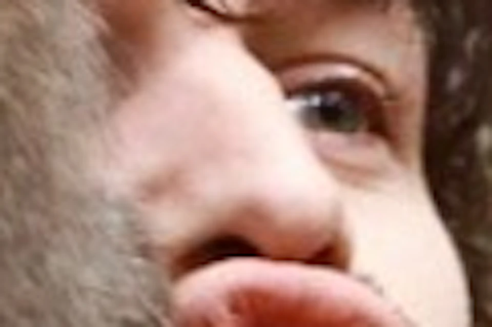 Monkey Forest