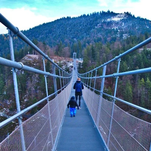 Castelo de Neuschwanstein e Highline 179: Excursão privada de um dia a partir de Munique - Photo 3
