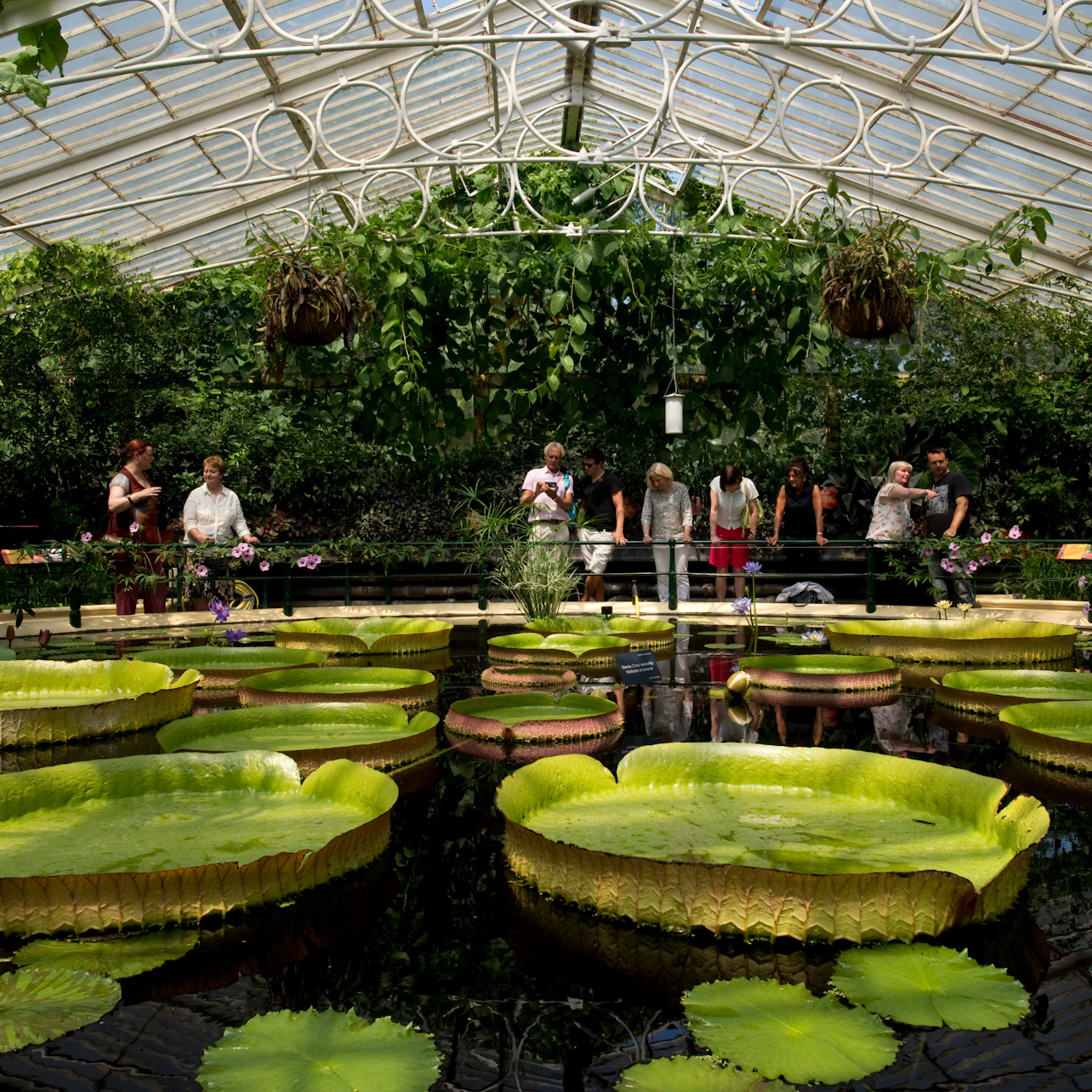 Kew Gardens: Entry Ticket in London β Tiqets