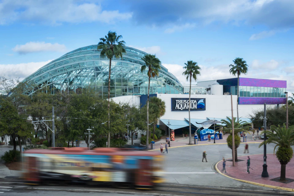 Glass-domed building labeled "The Florida Aquarium," surrounded by palm trees. A motion-blurred tram passes in front.