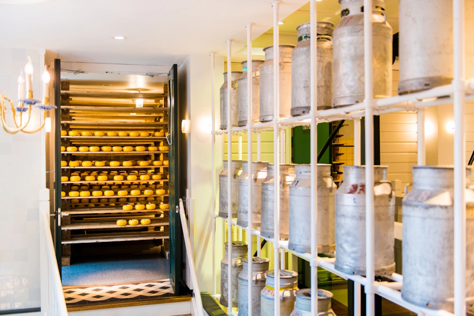 Rows of cheese wheels on wooden shelves and metal milk cans on white racks in a brightly lit storage room.