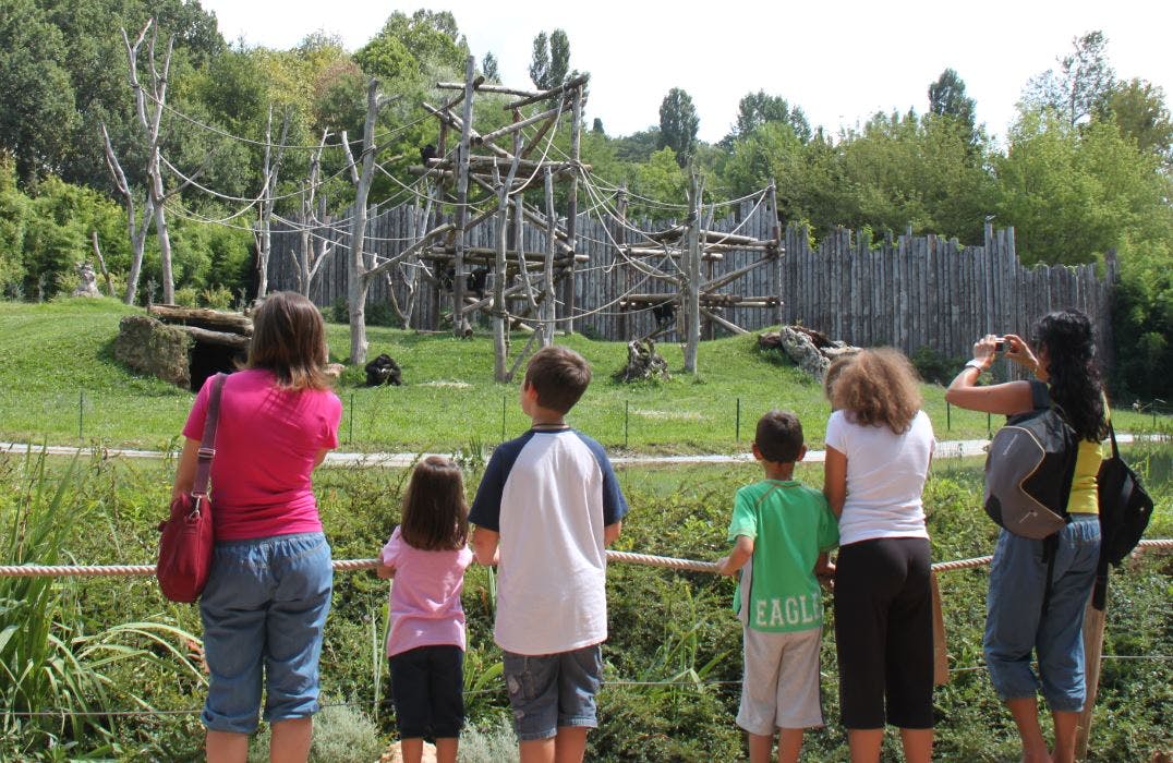 自然野生动物园