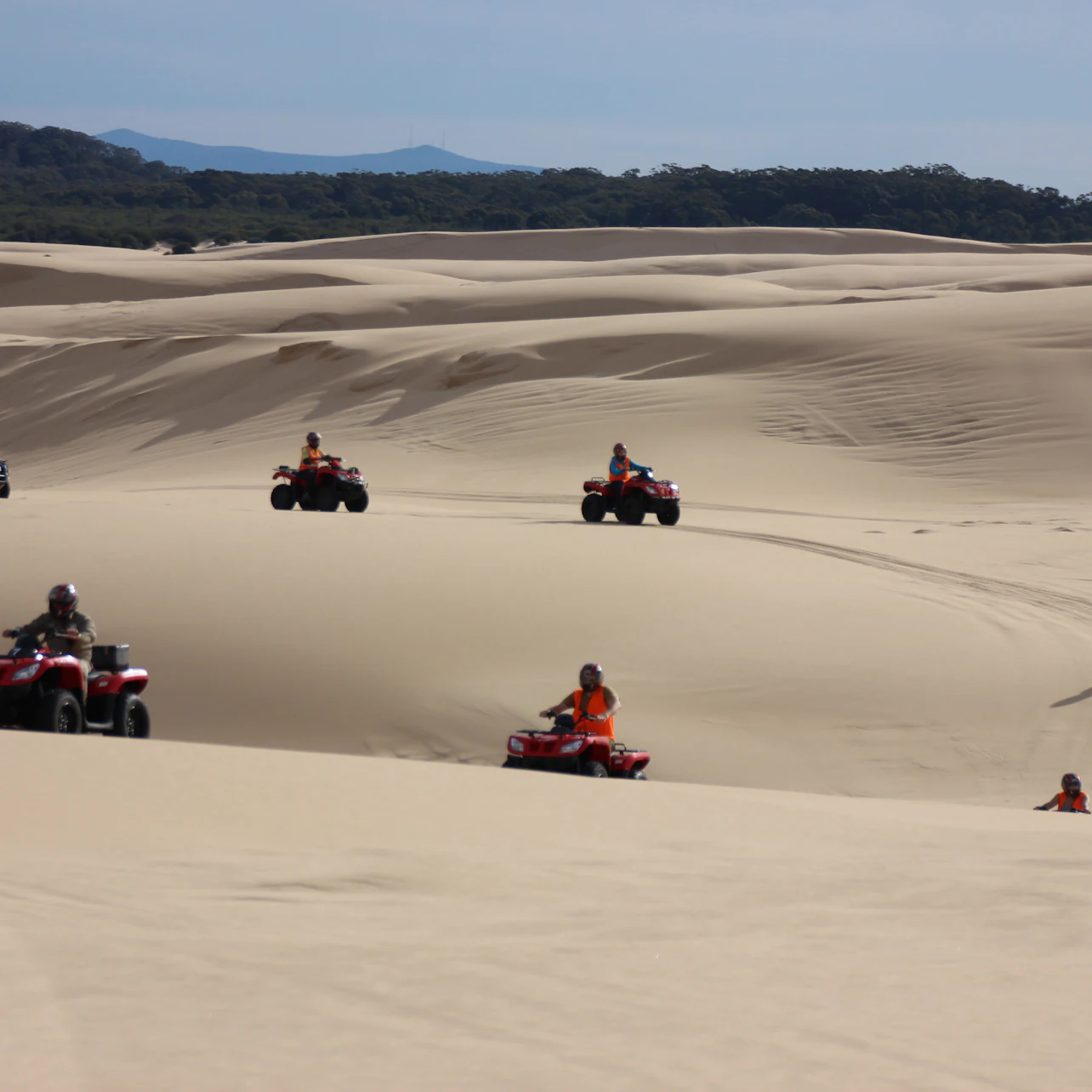 Worimi Sand Dunes Quad Bike Tour in Williamtown β Tiqets