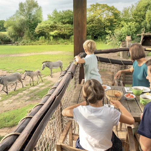 Zoo de Leipzig: Sin colas