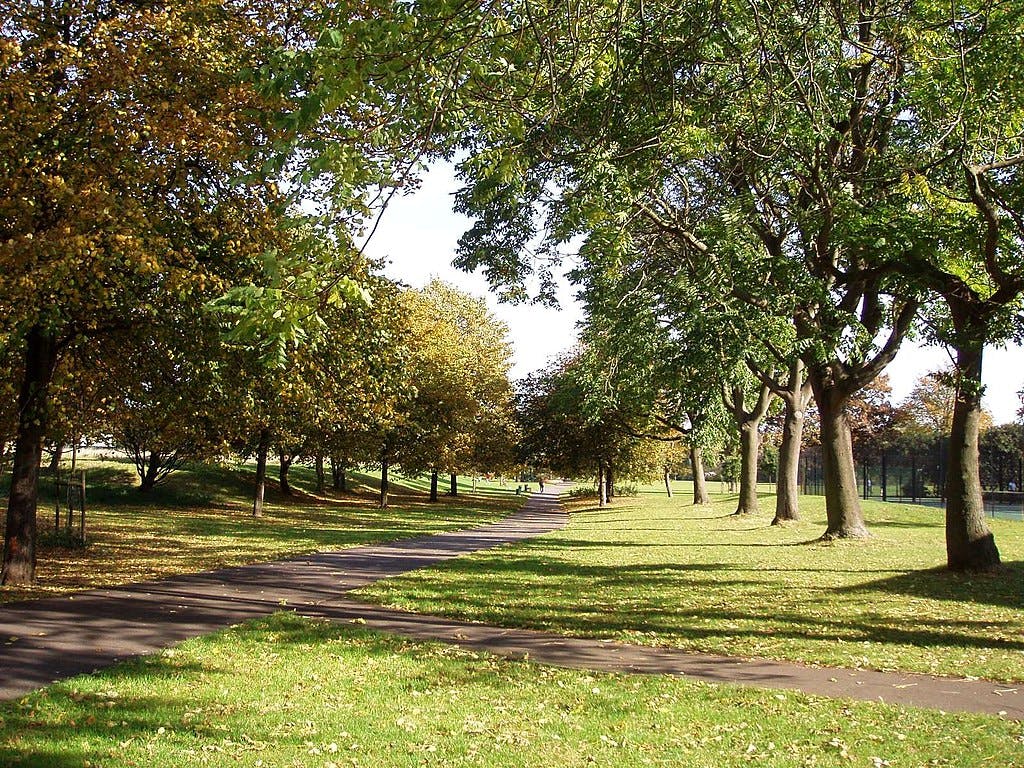 Un chemin pavé serpente à travers un parc verdoyant avec de grands arbres feuillus et la lumière du soleil qui projette des ombres sur l'herbe.