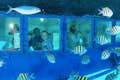 Underwater Glass Bottom Boat