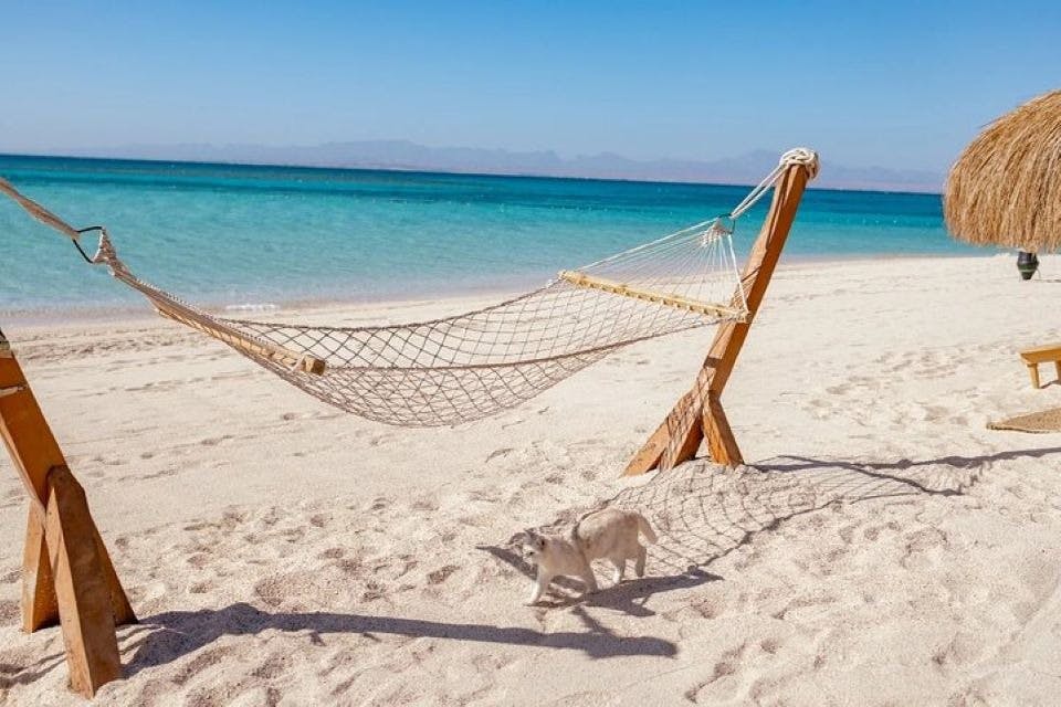 Hula Hula Island Snorkeling Sea Trip Full Day & Lunch - Hurghada