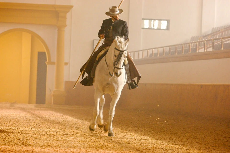 Como bailan los caballos andaluces