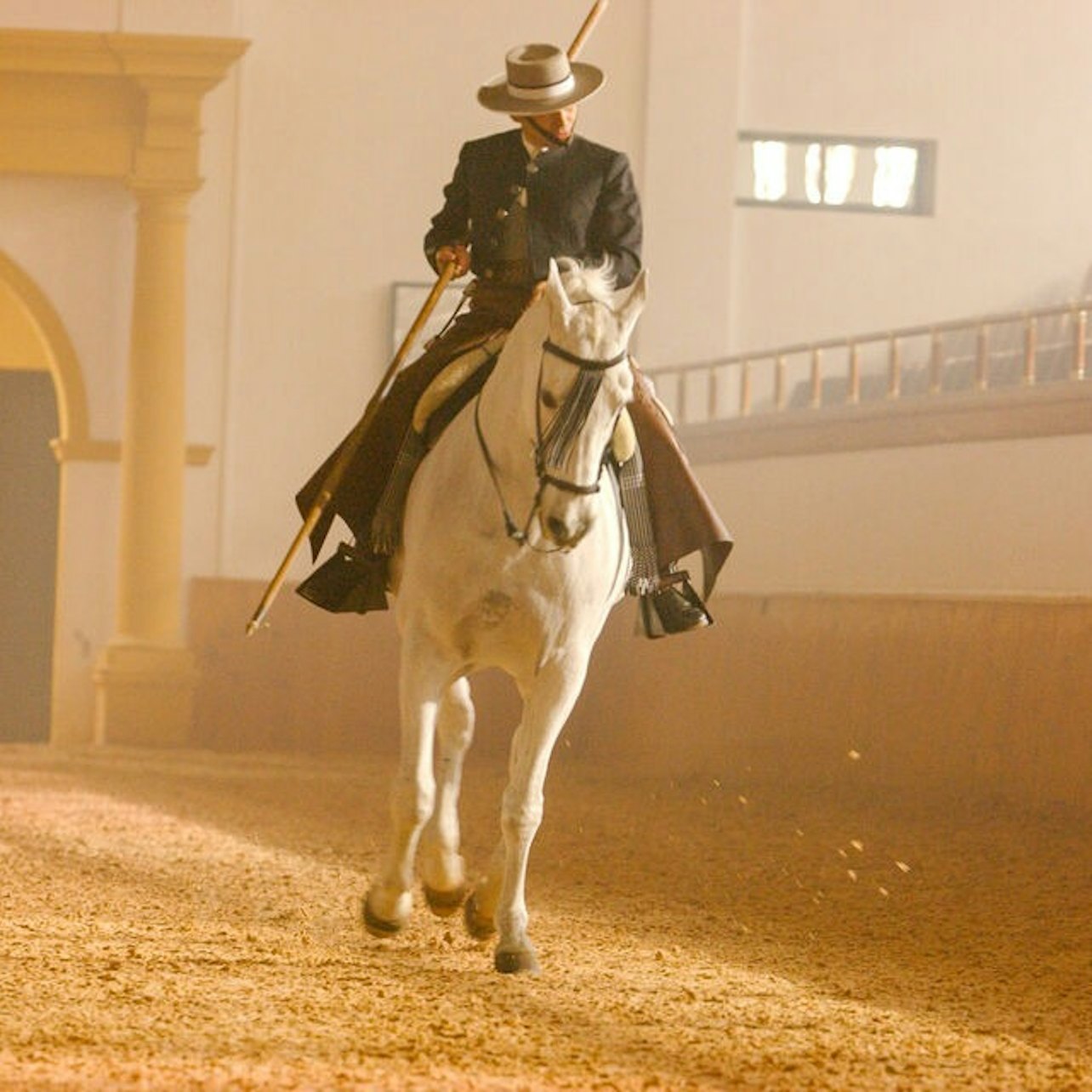 Scuola Reale Andalusa di Arte Equestre: Mostra del Cavallo Andaluso - Alloggi in Jerez de la Frontera