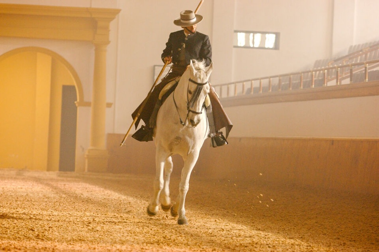 Royal Andalusian School of Equestrian Art: Andalusian Horse Show - Accommodations in Jerez de la Frontera