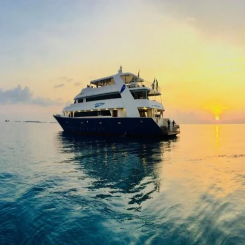 Marsa Alam: Overnight Stay at Sataya Dolphin House + Snorkeling - Photo 29