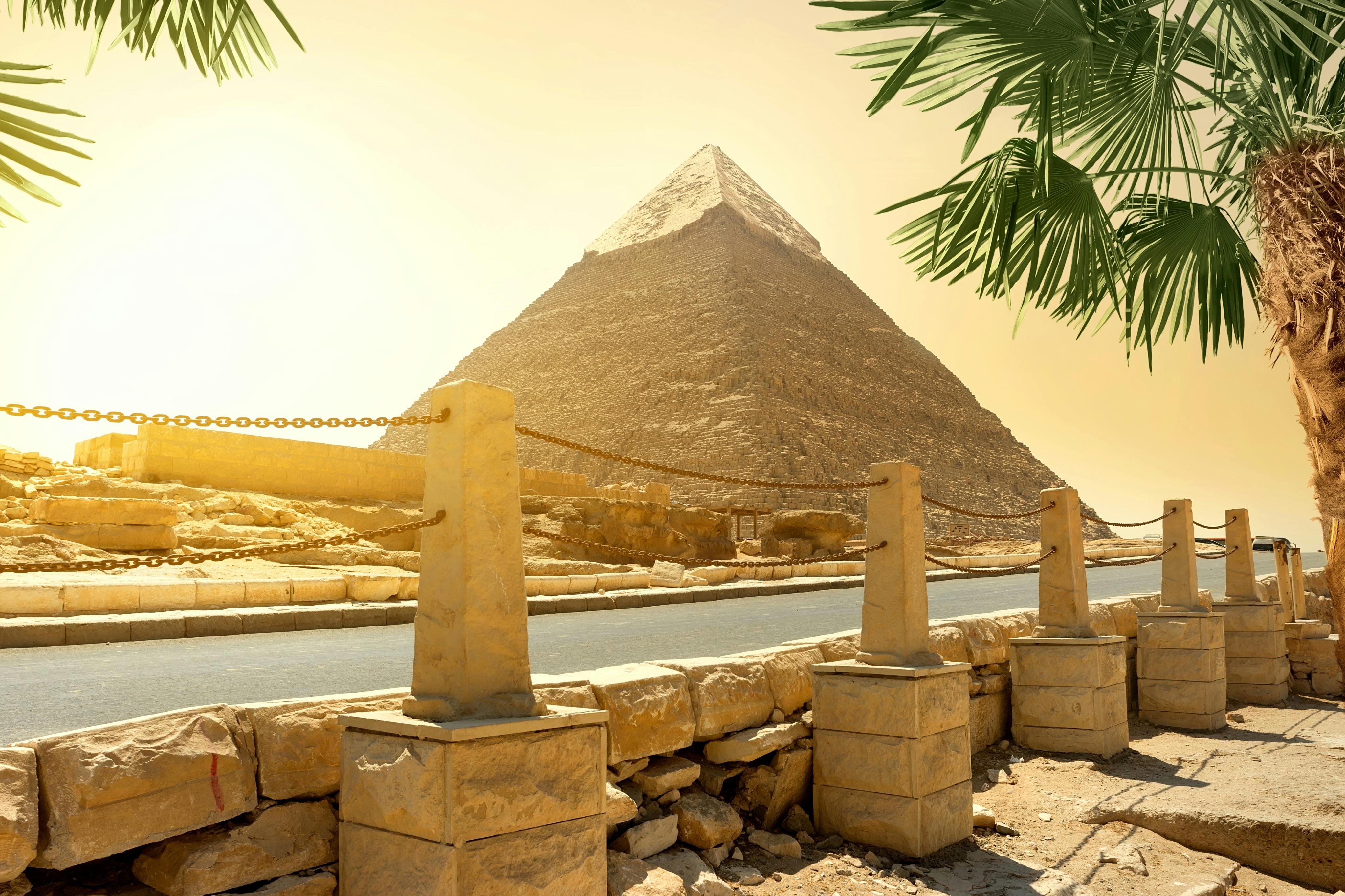 The Great Pyramid of Giza seen from behind a barrier under a clear sky, with palm fronds partially visible.