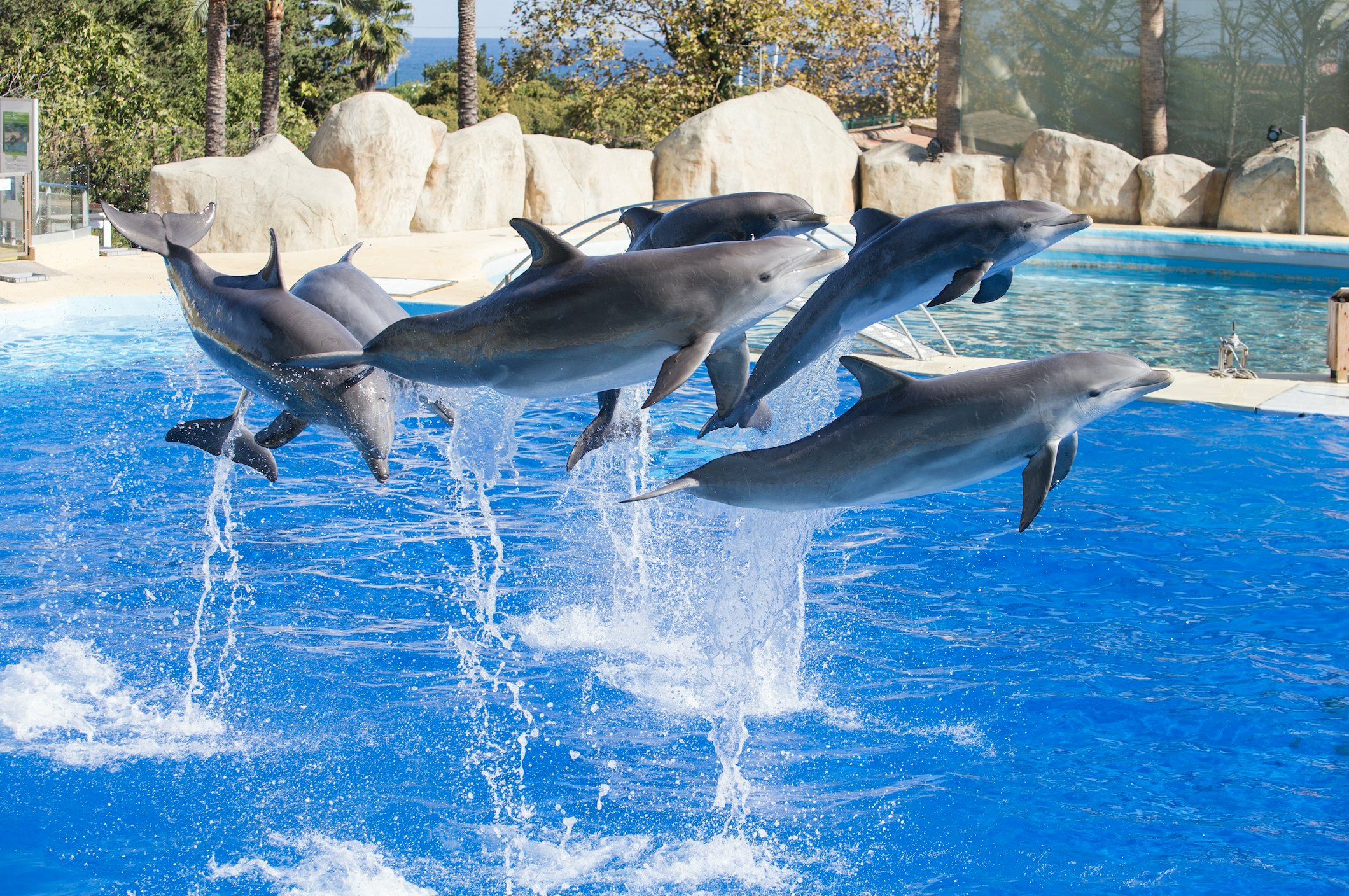 Marineland Côte d'Azur: Bilhete de entrada