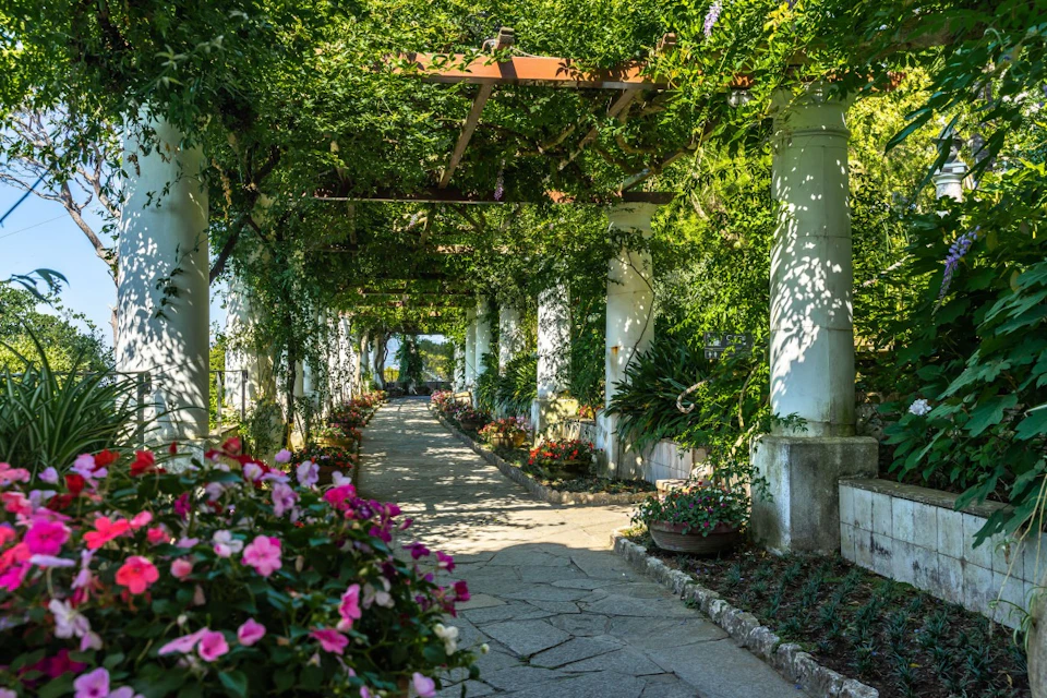A stone pathway under a pergola covered with greenery and surrounded by colorful flowers and plants in a garden setting.