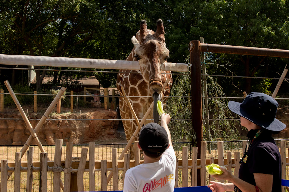 Zoo Atlanta