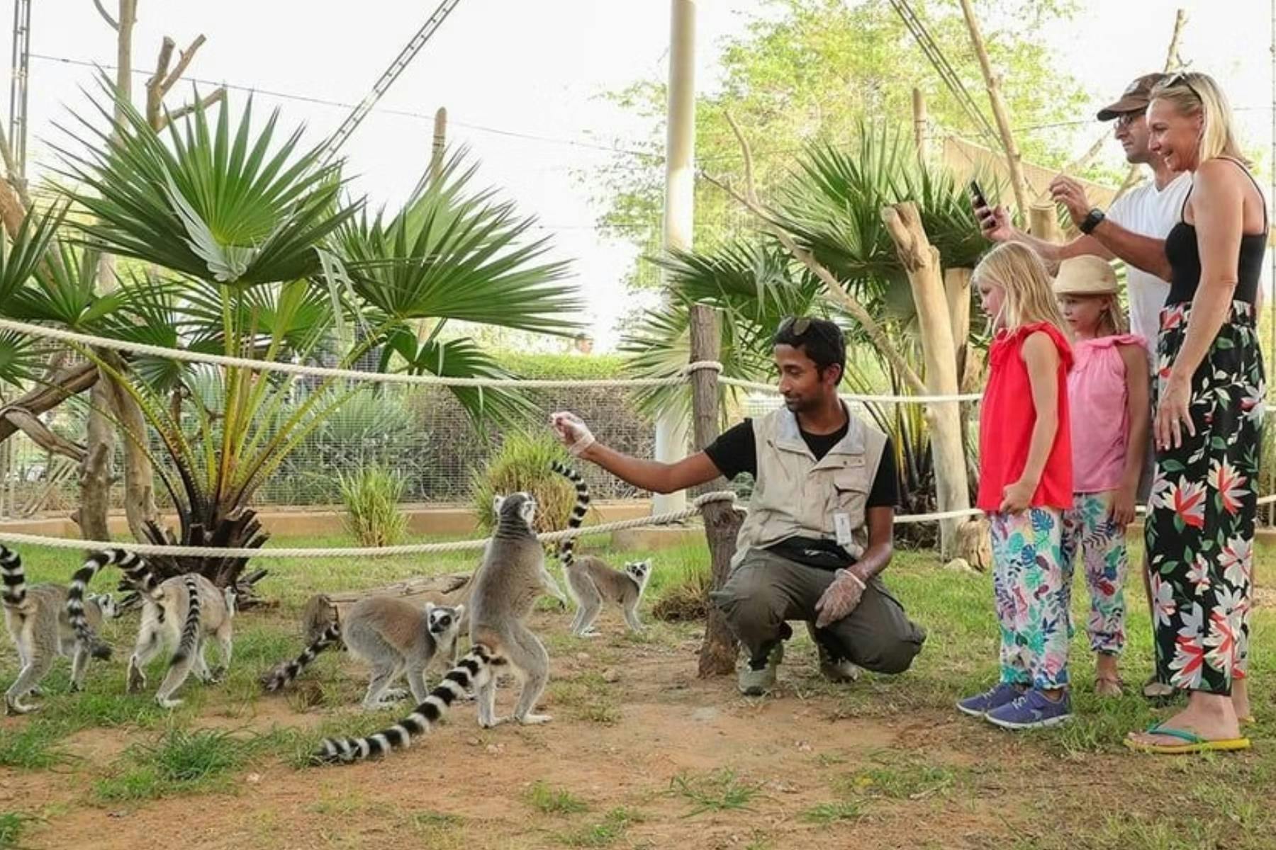 Al Ain Zoo Entry Tickets Tiqets