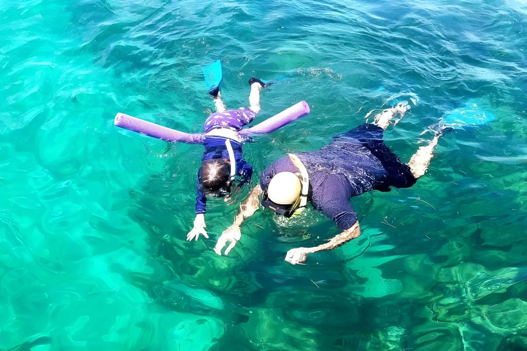 Biscayne Bay: Guided Snorkeling Adventure from South Beach