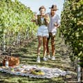 Picknick wijngaard verrassing paar