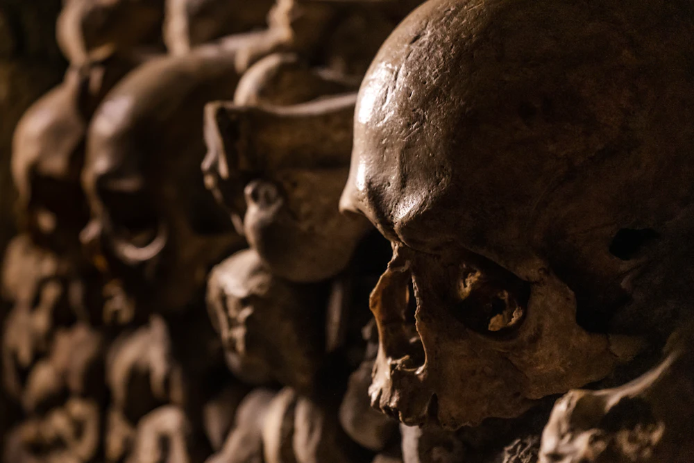 Catacombs of Paris: Entry Ticket + Audio Guide  in Paris