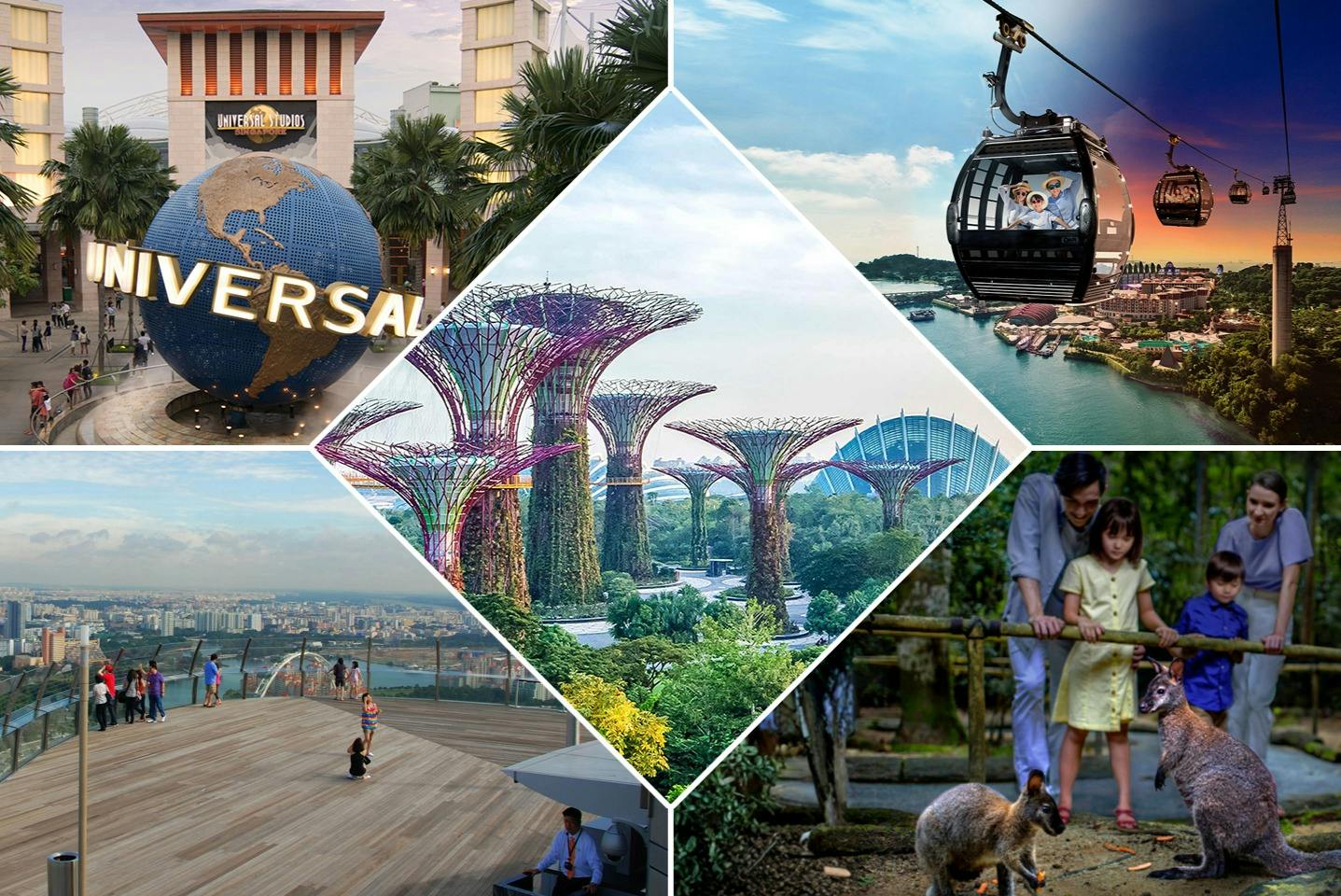 A collage featuring cable cars, futuristic tree-like structures, a family observing kangaroos, and urban and park settings.