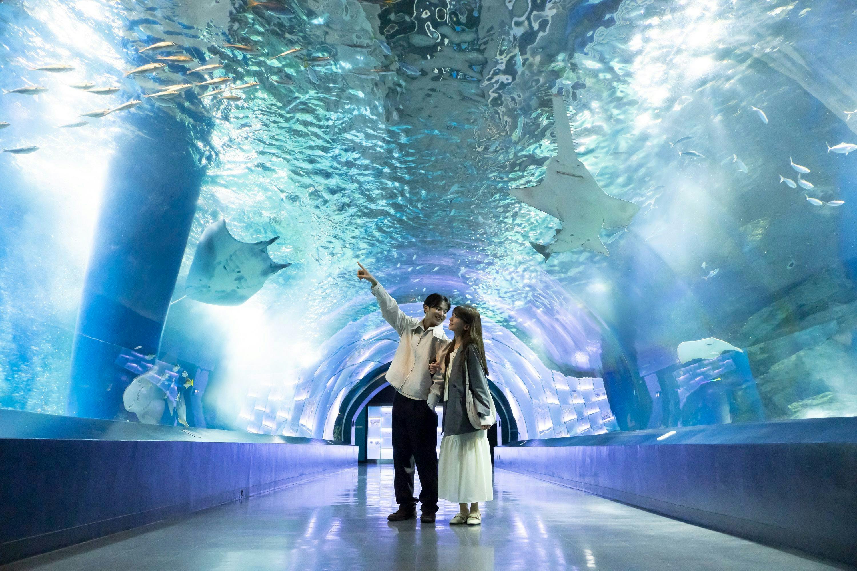 Maxell Aqua Park Shinagawa