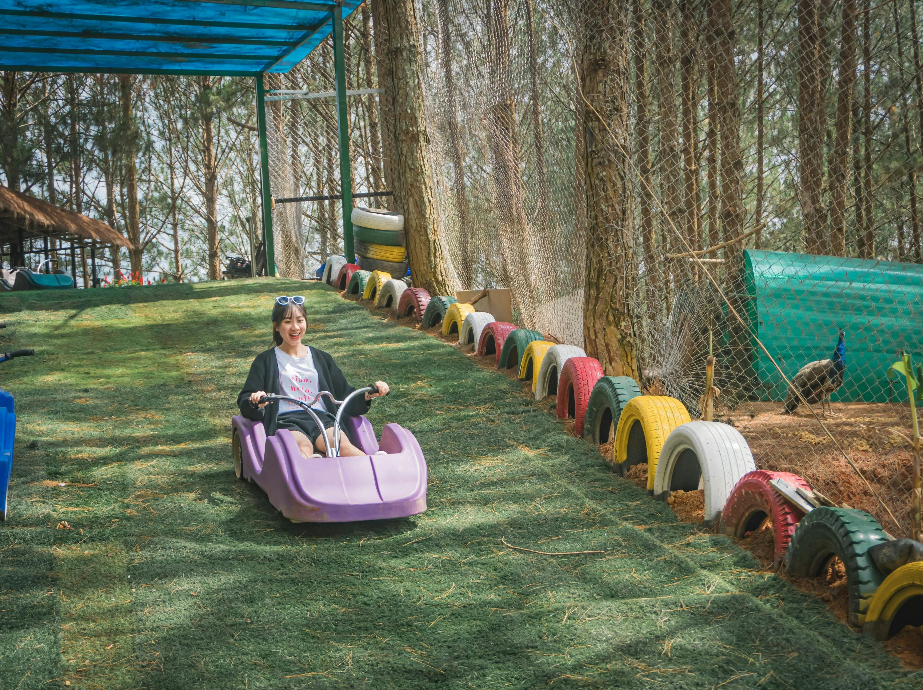 A person driving a purple sled down a grassy track lined with colorful tires in an outdoor park setting.