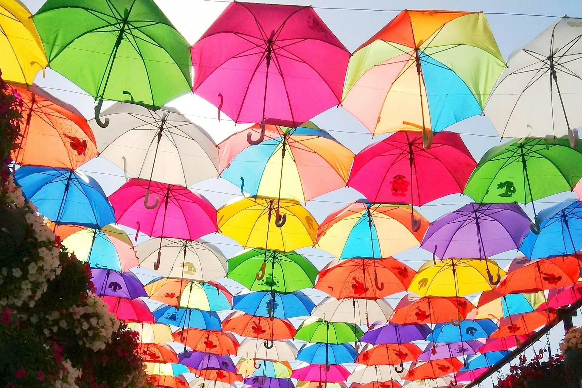 Colorful umbrellas suspended upside down in rows, creating a vibrant canopy against the sky.