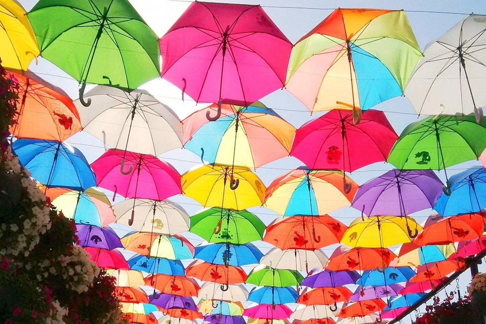 Colorful umbrellas suspended upside down in rows, creating a vibrant canopy against the sky.