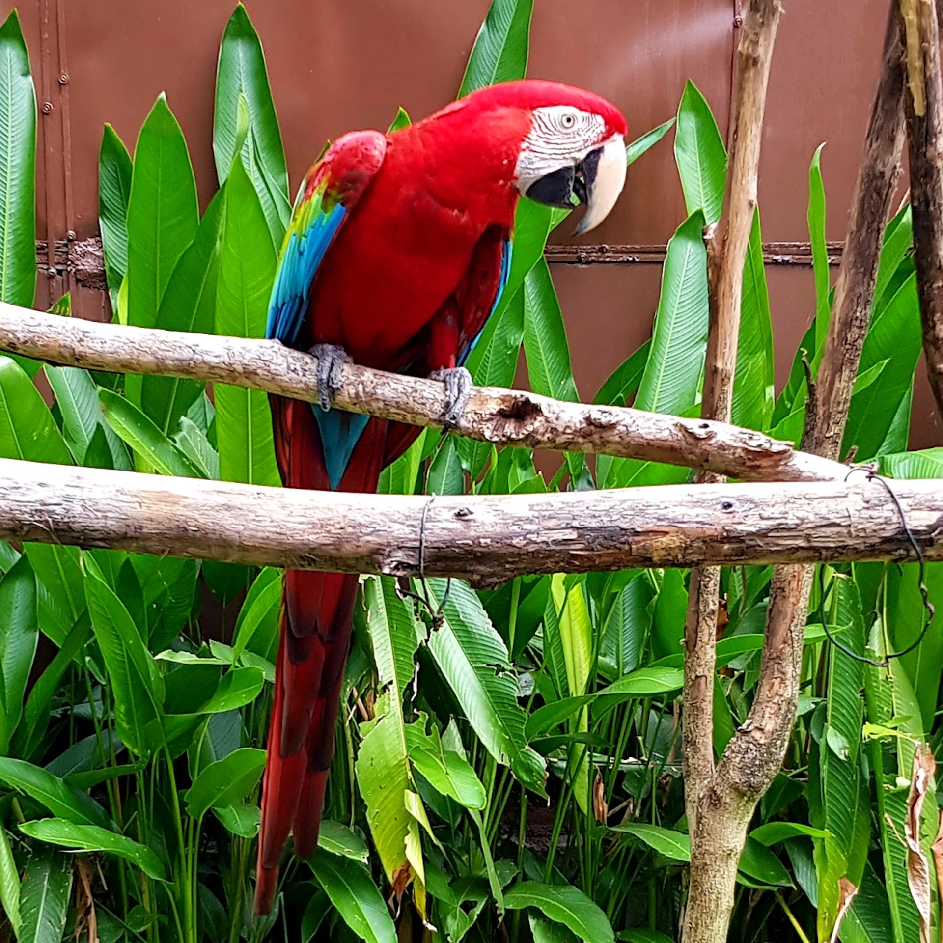 Penang Bird Park: Up to 15% Off Family Combo Admission Ticket