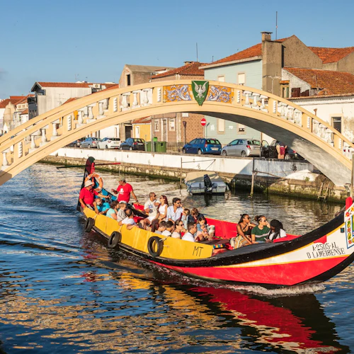 Aveiro & Costa Nova Half-Day Tour from Porto - Photo 10