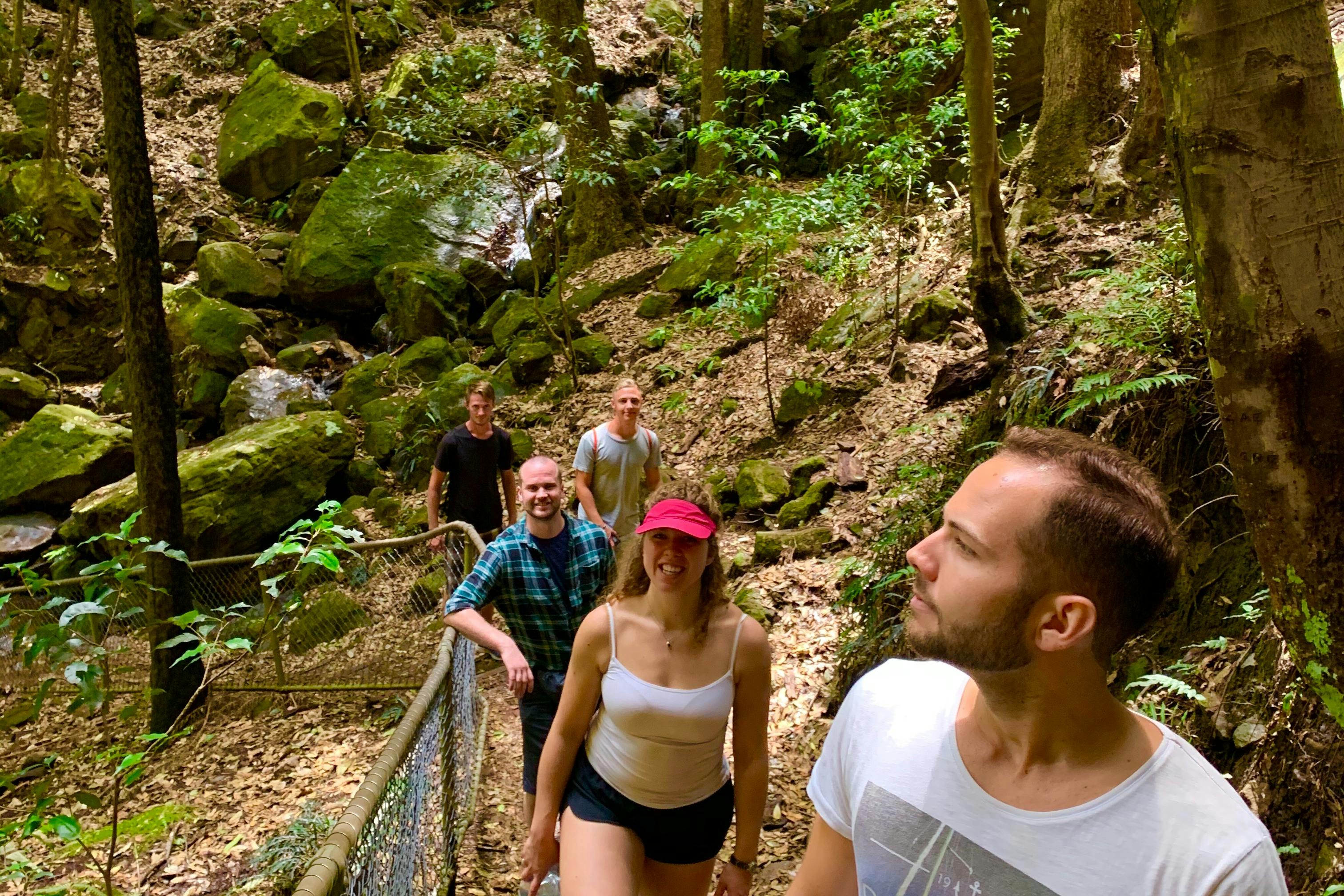 Μια ομάδα ατόμων στον προαιρετικό περίπατο στους θάμνους