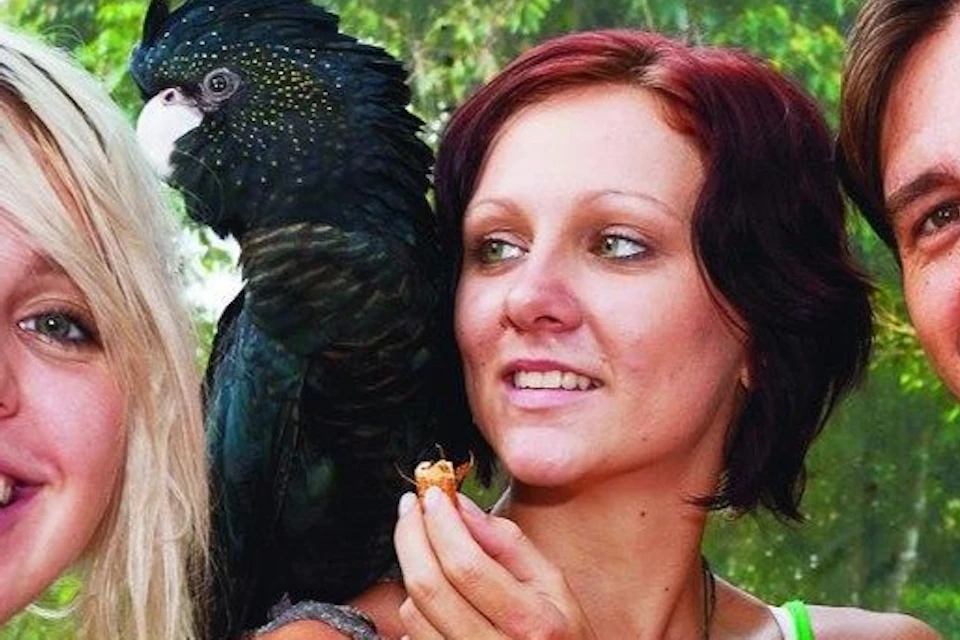 Birdworld Kuranda