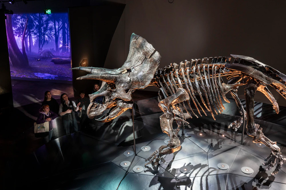 Melbourne Museum: Home of Dinosaurs Guided Tour